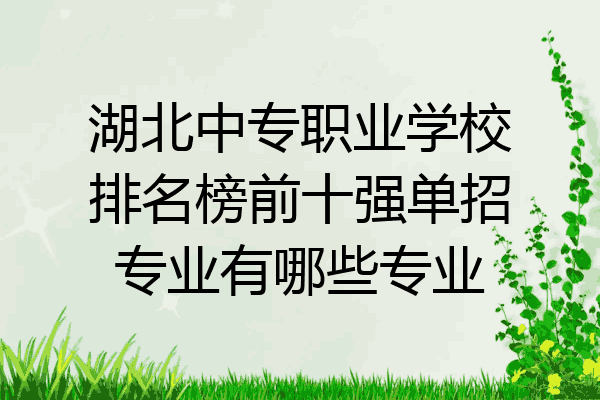 湖北中专职业学校排名榜前十强单招专业有哪些专业