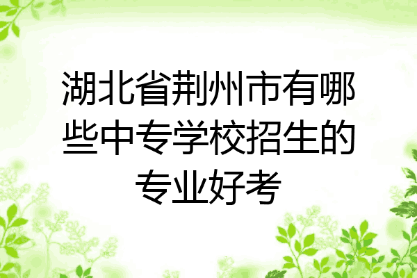 湖北省荆州市有哪些中专学校招生的专业好考