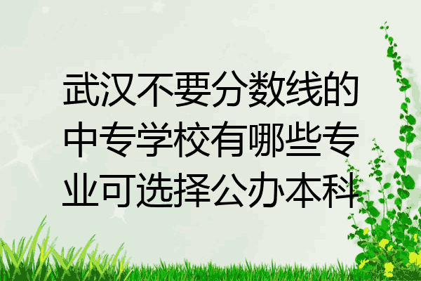 武汉不要分数线的中专学校有哪些专业可选择公办本科