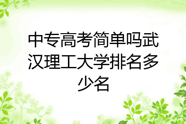 中专高考简单吗武汉理工大学排名多少名