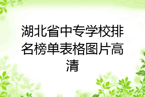 湖北省中专学校排名榜单表格图片高清