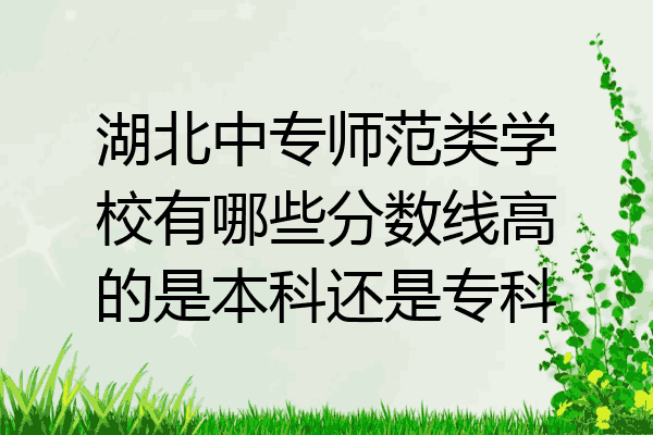 湖北中专师范类学校有哪些分数线高的是本科还是专科