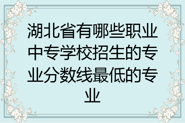 湖北省有哪些职业中专学校招生的专业分数线最低的专业