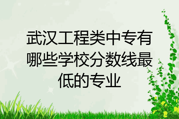 武汉工程类中专有哪些学校分数线最低的专业