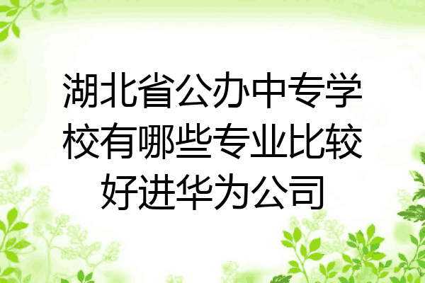 湖北省公办中专学校有哪些专业比较好进华为公司