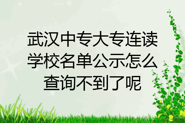 武汉中专大专连读学校名单公示怎么查询不到了呢