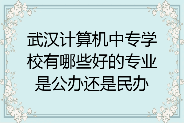 武汉计算机中专学校有哪些好的专业是公办还是民办