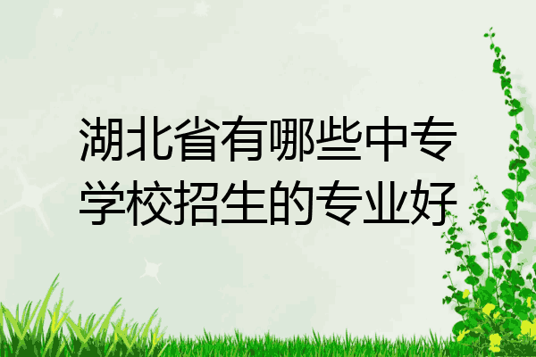 湖北省有哪些中专学校招生的专业好