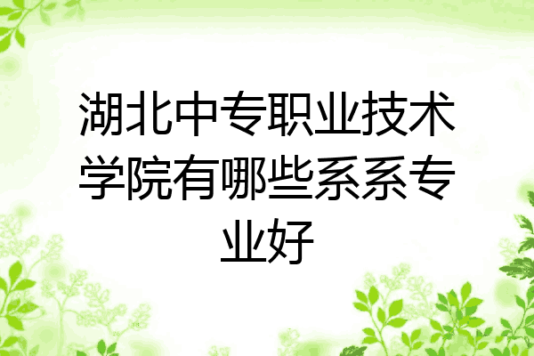 湖北中专职业技术学院有哪些系系专业好