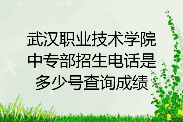 武汉职业技术学院中专部招生电话是多少号查询成绩
