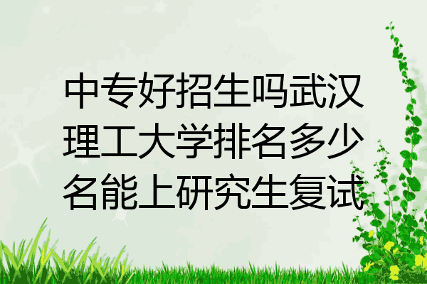 中专好招生吗武汉理工大学排名多少名能上研究生复试