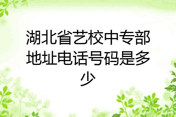 湖北省艺校中专部地址电话号码是多少