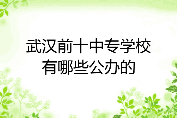 武汉前十中专学校有哪些公办的