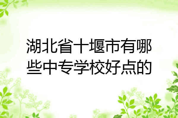 湖北省十堰市有哪些中专学校好点的