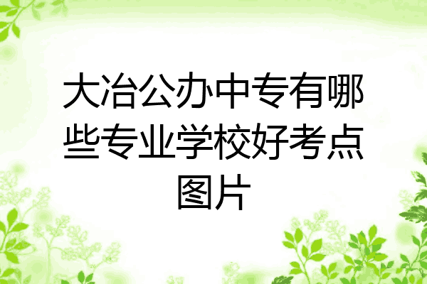 大冶公办中专有哪些专业学校好考点图片