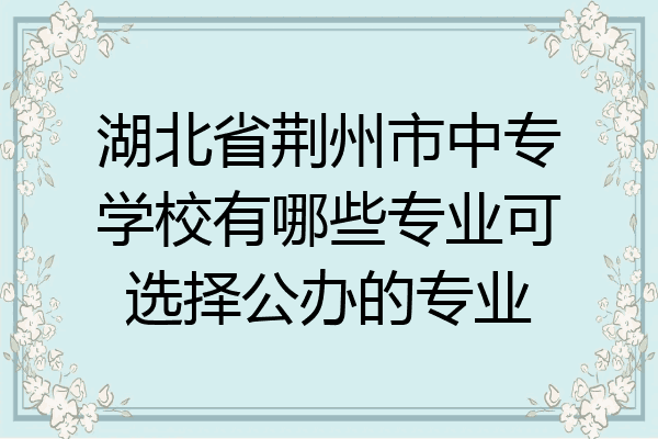 湖北省荆州市中专学校有哪些专业可选择公办的专业