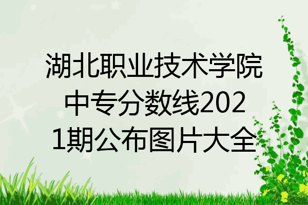 湖北职业技术学院中专分数线2021期公布图片大全