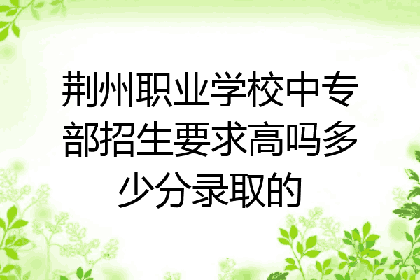 荆州职业学校中专部招生要求高吗多少分录取的