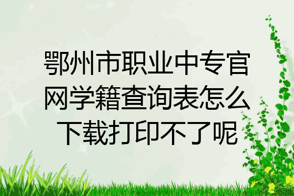 鄂州市职业中专官网学籍查询表怎么下载打印不了呢