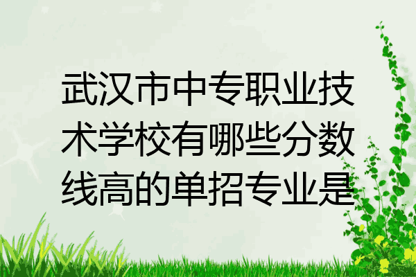 武汉市中专职业技术学校有哪些分数线高的单招专业是