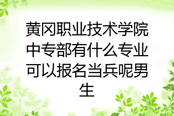 黄冈职业技术学院中专部有什么专业可以报名当兵呢男生