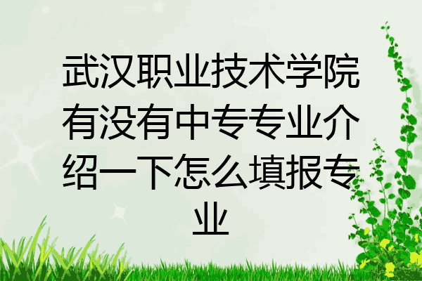武汉职业技术学院有没有中专专业介绍一下怎么填报专业