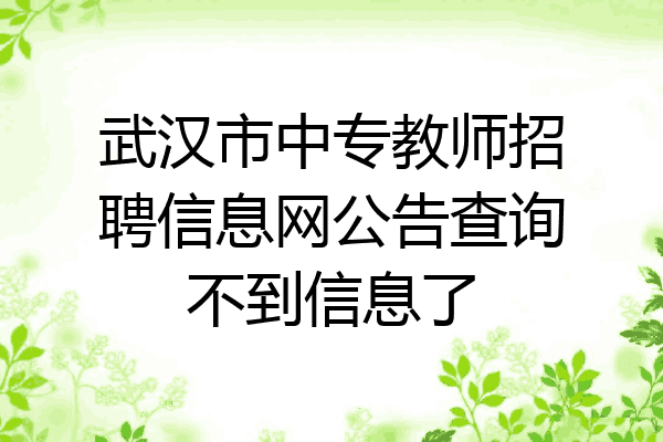 武汉市中专教师招聘信息网公告查询不到信息了