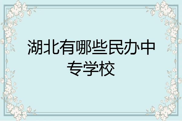 湖北有哪些民办中专学校