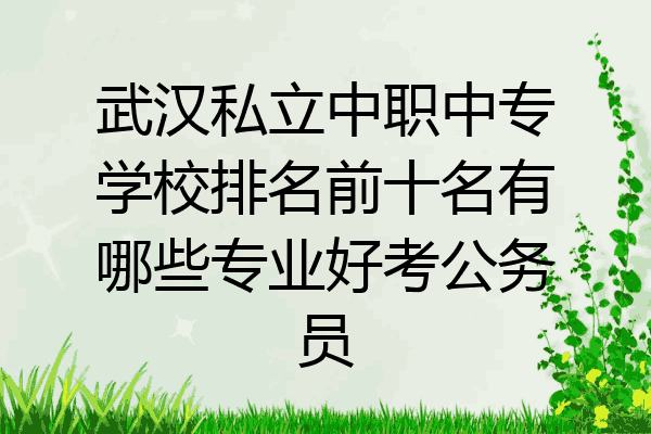 武汉私立中职中专学校排名前十名有哪些专业好考公务员