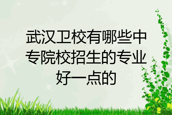 武汉卫校有哪些中专院校招生的专业好一点的