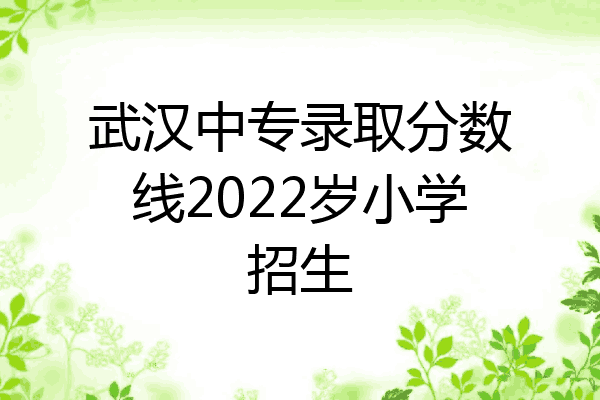 武汉中专录取分数线2022岁小学招生