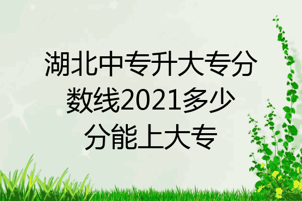 湖北中专升大专分数线2021多少分能上大专