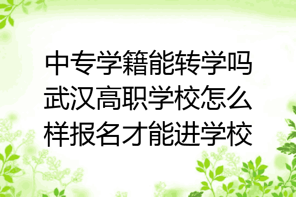 中专学籍能转学吗武汉高职学校怎么样报名才能进学校