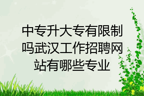 中专升大专有限制吗武汉工作招聘网站有哪些专业