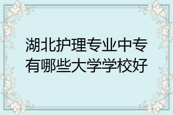 湖北护理专业中专有哪些大学学校好