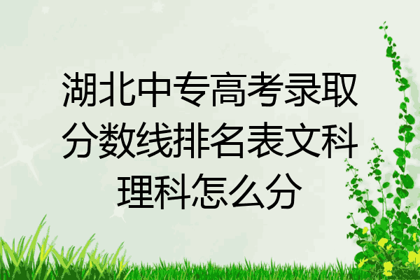 湖北中专高考录取分数线排名表文科理科怎么分