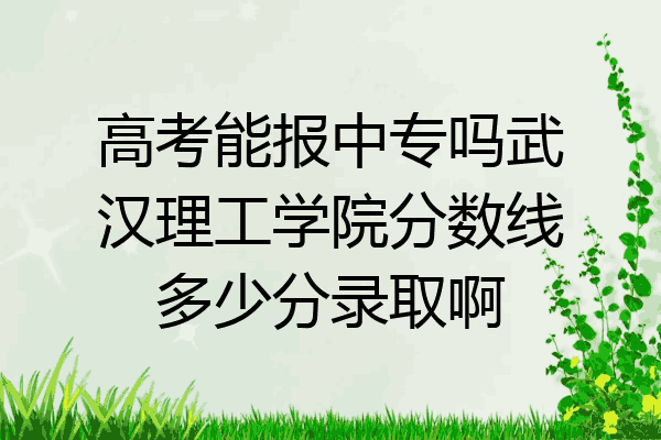 高考能报中专吗武汉理工学院分数线多少分录取啊