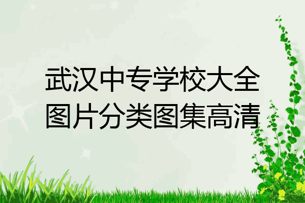 武汉中专学校大全图片分类图集高清
