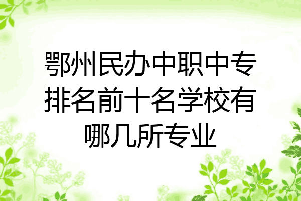 鄂州民办中职中专排名前十名学校有哪几所专业