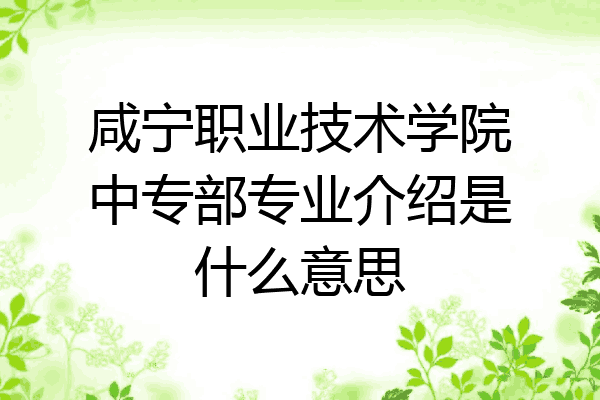 咸宁职业技术学院中专部专业介绍是什么意思