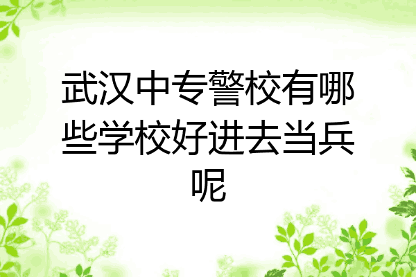 武汉中专警校有哪些学校好进去当兵呢