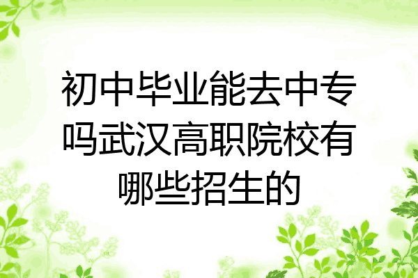 初中毕业能去中专吗武汉高职院校有哪些招生的