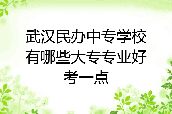 武汉民办中专学校有哪些大专专业好考一点