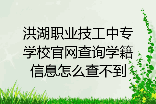 洪湖职业技工中专学校官网查询学籍信息怎么查不到