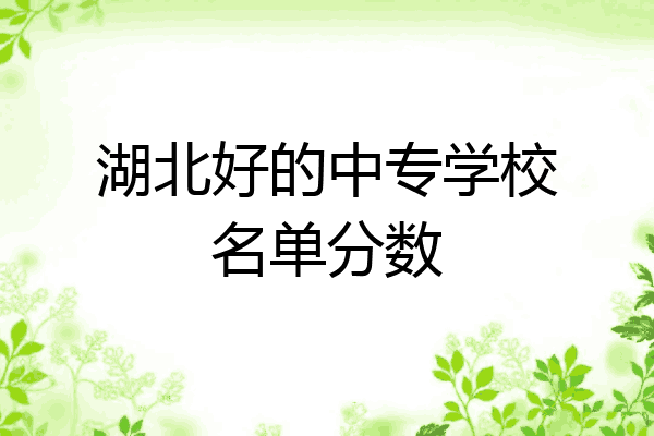 湖北好的中专学校名单分数