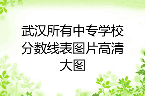 武汉所有中专学校分数线表图片高清大图