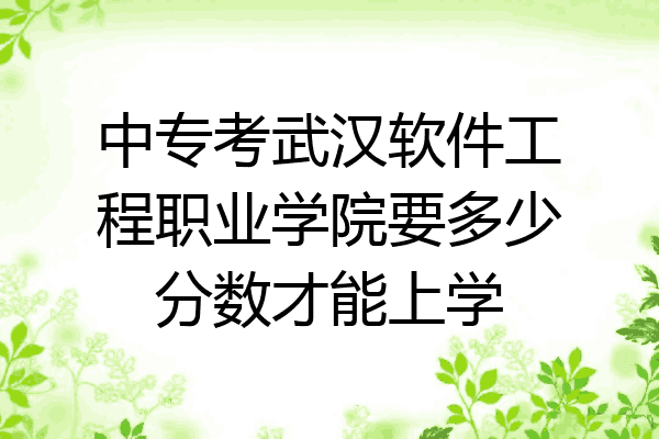 中专考武汉软件工程职业学院要多少分数才能上学