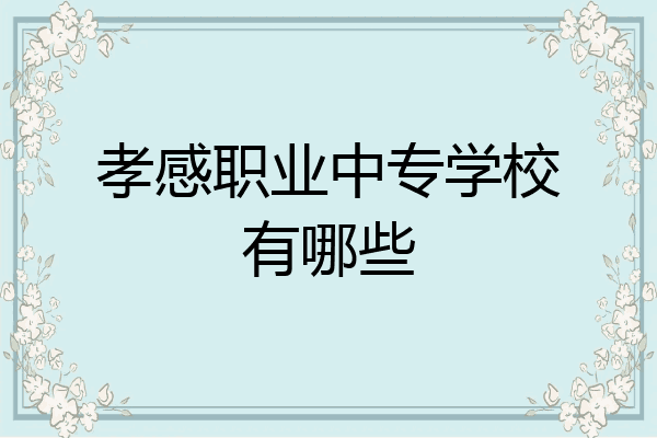 孝感职业中专学校有哪些