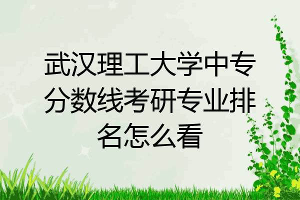 武汉理工大学中专分数线考研专业排名怎么看
