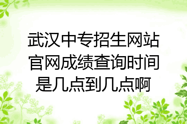 武汉中专招生网站官网成绩查询时间是几点到几点啊